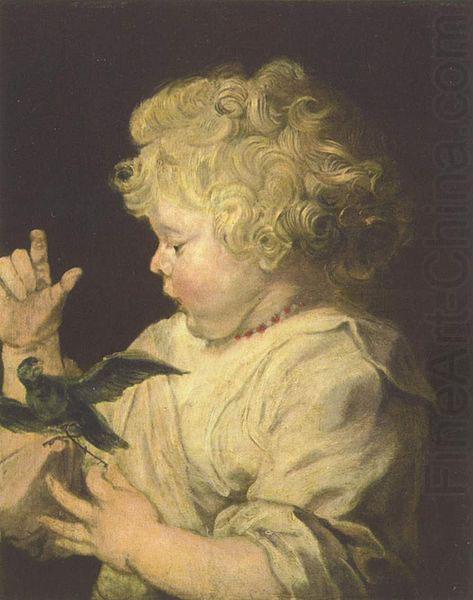 Anthony Van Dyck Portrat eines Kindes mit Vogel oil painting picture